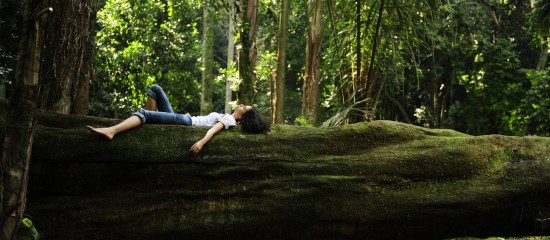 Praticare il forest bathing: perchè fa bene immergersi nella natura